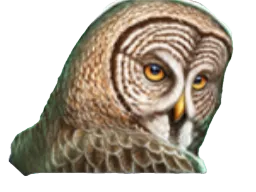 Adler Symbol
