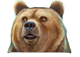 Polarbär Symbol
