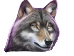 Wolf Symbol