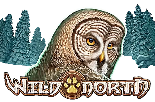 wild-north-playn-go