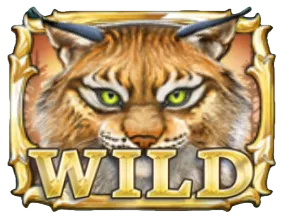 Wild Symbol